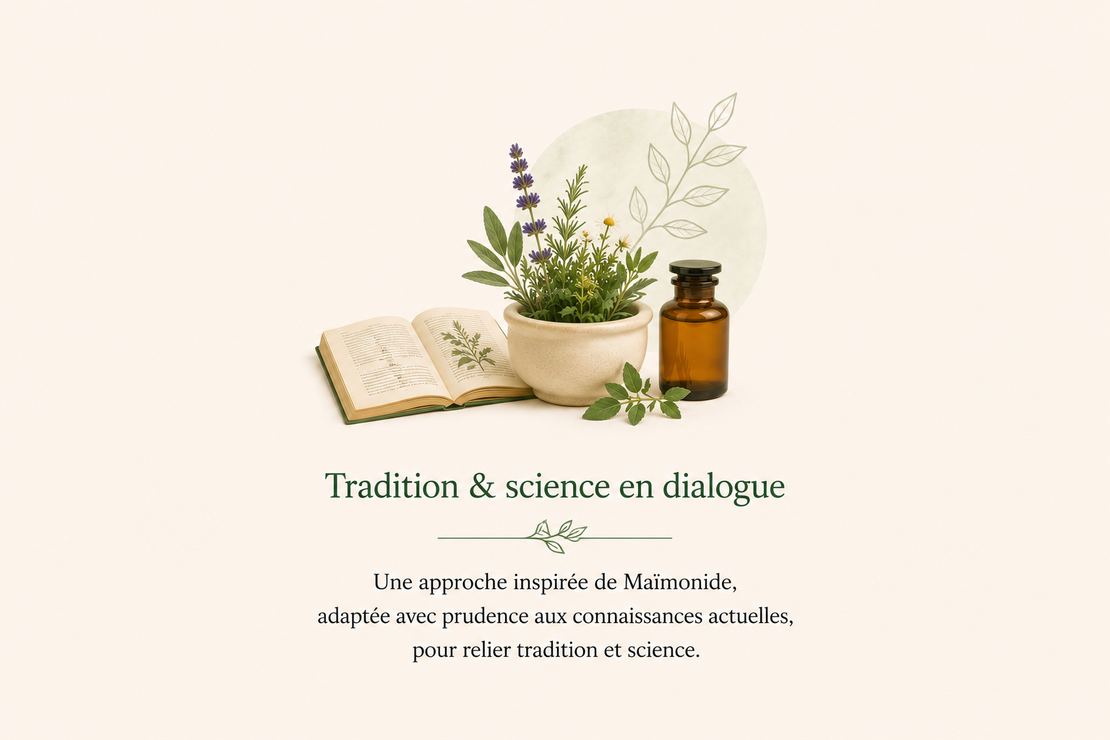 Livre ancien de médecine ouvert à côté de feuilles de plantes fraîches