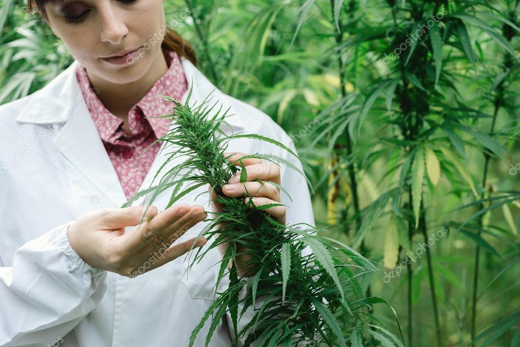 Pharmacien préparant des formules à base de plantes dans un laboratoire lumineux